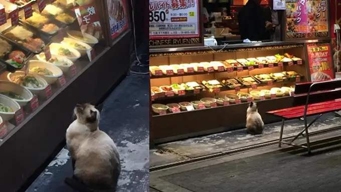 copyright by rocketnews24.com