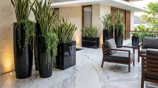 Model Teras Minimalis Modern dengan Tanaman Pot Monokrom
