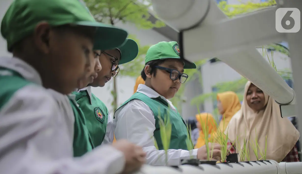 Sejumlah murid SD Laboratorium Jakarta melihat tanaman hidroponik di Balaikota Farm, Jakarta, Selasa (15/10/2019). Kegiatan belajar di luar ruangan ini untuk mengenal bibit, cara menanam, nutrisi dan media tanam hidroponik. (Liputan6.com/Faizal Fanani)