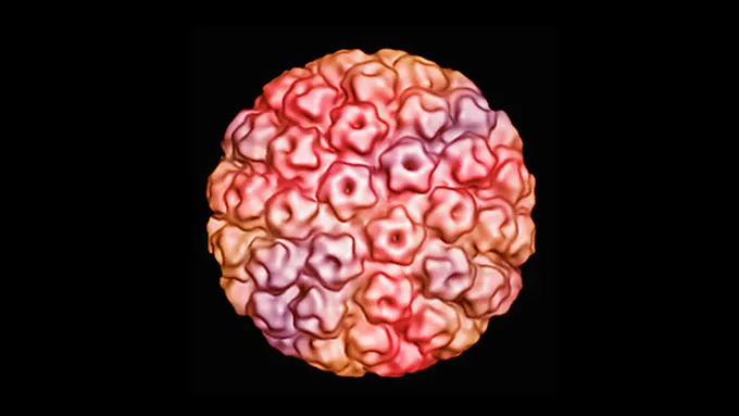 Kenali, 2 Jenis Vaksin Pencegah Kanker Serviks