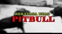 Meski dilarang, arena mempertarungkan dua anjing penjaga jenis pitbull masih kerap terjadi