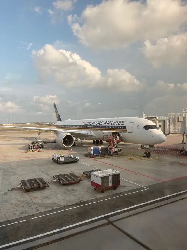 Ilustrasi pesawat Singapore Airlines.