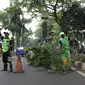 Petugas DLH Kota Tangerang melakukan penopingan untuk mencegah pohon tumbang akibat angin kencang saat musim hujan. (Liputan6.com/Pramita Tristiawati)