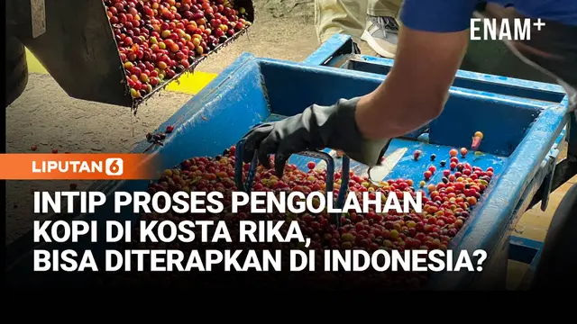 Intip Proses Pengolahan Kopi di Kosta Rika, Cocok Diterapkan di Indonesia?