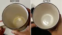 Cara Mudah Hilangkan Noda Kopi Membandel di Cangkir