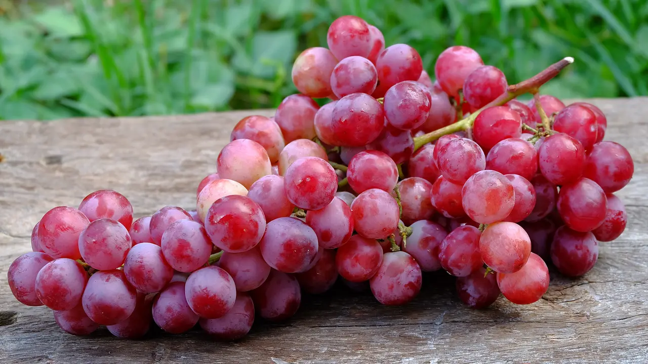 Ilustrasi Buah Anggur (iStockphoto)