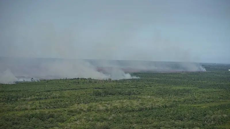 Kebakaran lahan di Pulau Rupat, Bengkalis, yang terpantau dari udara oleh Satgas Siaga Darurat Karhutla Riau
