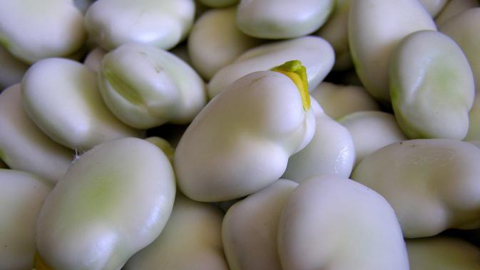 10 Manfaat Kacang Koro Untuk Kesehatan Penuh Nutrisi Hot Liputan6 Com