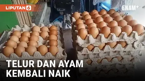 VIDEO: Telur dan Daging Ayam di Maluku Kembali Naik Jelang Puasa