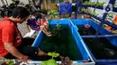 Anak-anak bermain di ruang edukasi anak di halaman Kantor Kelurahan Karet, Jakarta Selatan, Selasa (30/3/2021). Ruang terbuka yang berkonsep mini zoo ini memiliki sejumlah koleksi hewan peliharaan seperti kelinci, burung dan ikan hias. (Liputan6.com/Johan Tallo)
