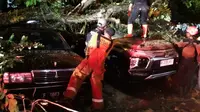 3 Mobil di Bogor rusak tertimpa pohon tumbang setelah wilayah tersebut diguyur hujan deras. (Liputan6.com/Achmad Sudarno).