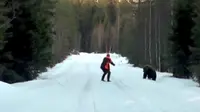 Seorang pria Swedia terekam mengusir seekor beruang dengan suaranya. 