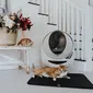 Ilustrasi Kucing/https://unsplash.com/Litter&nbsp;Robot