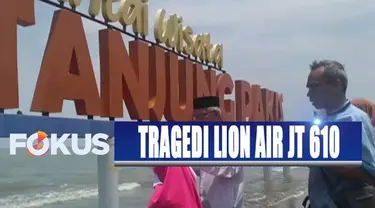 Pesawat Lion Air JT 610 rute Jakarta-Pangkal Pinang jatuh di perairan Karawang pada 29 Oktober lalu.