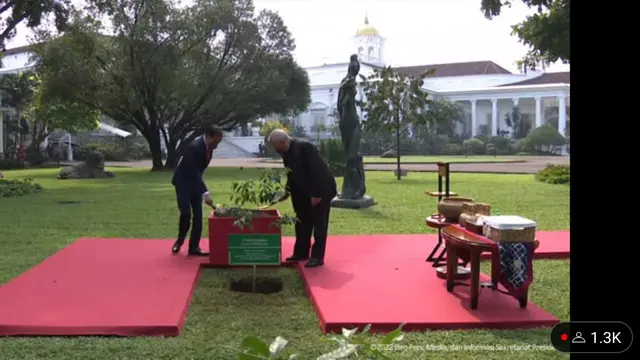 Presiden Jokowi dan Presiden Timor Leste Jose Ramos-Horta tanam pohon bersama