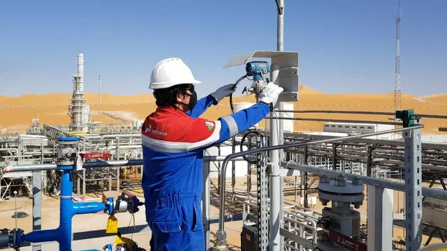 Pertamina Internasional EP Go Global (Foto: Pertamina)