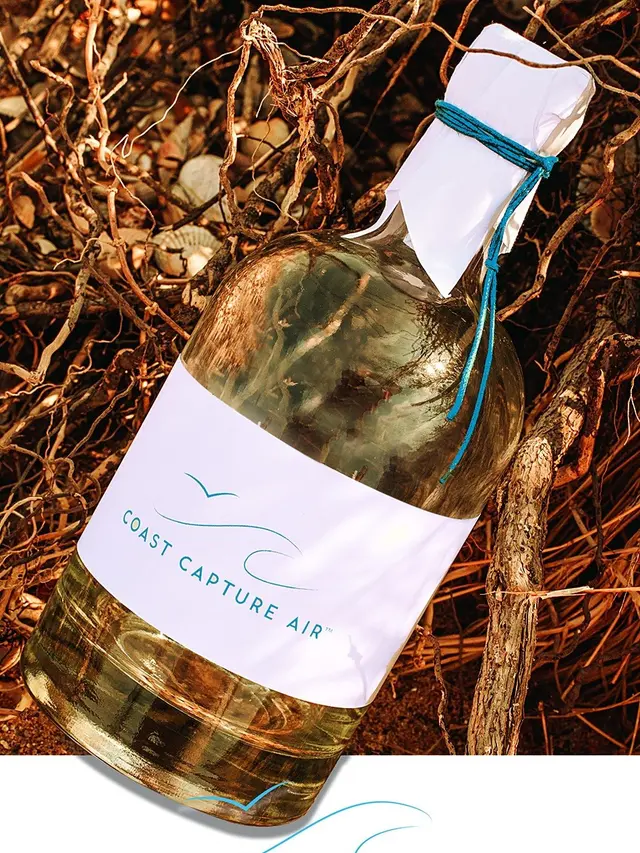 Viral Perusahaan Ini Menjual Udara Pantai Senilai Rp 1,4 Juta Per Botol. (Sumber: Facebook/Coast Capture Air)