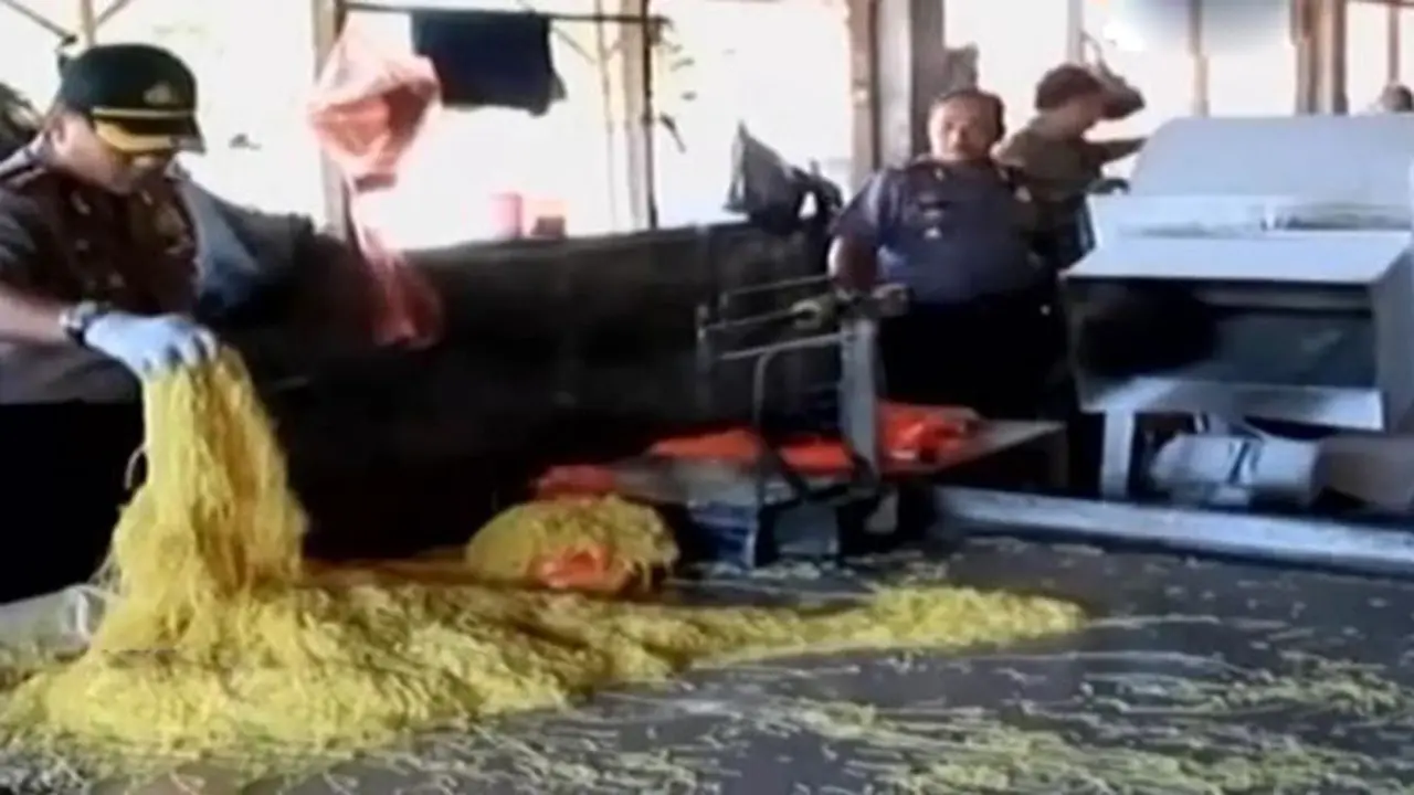 Lip6 Petang-Pabrik Mie Berformalin