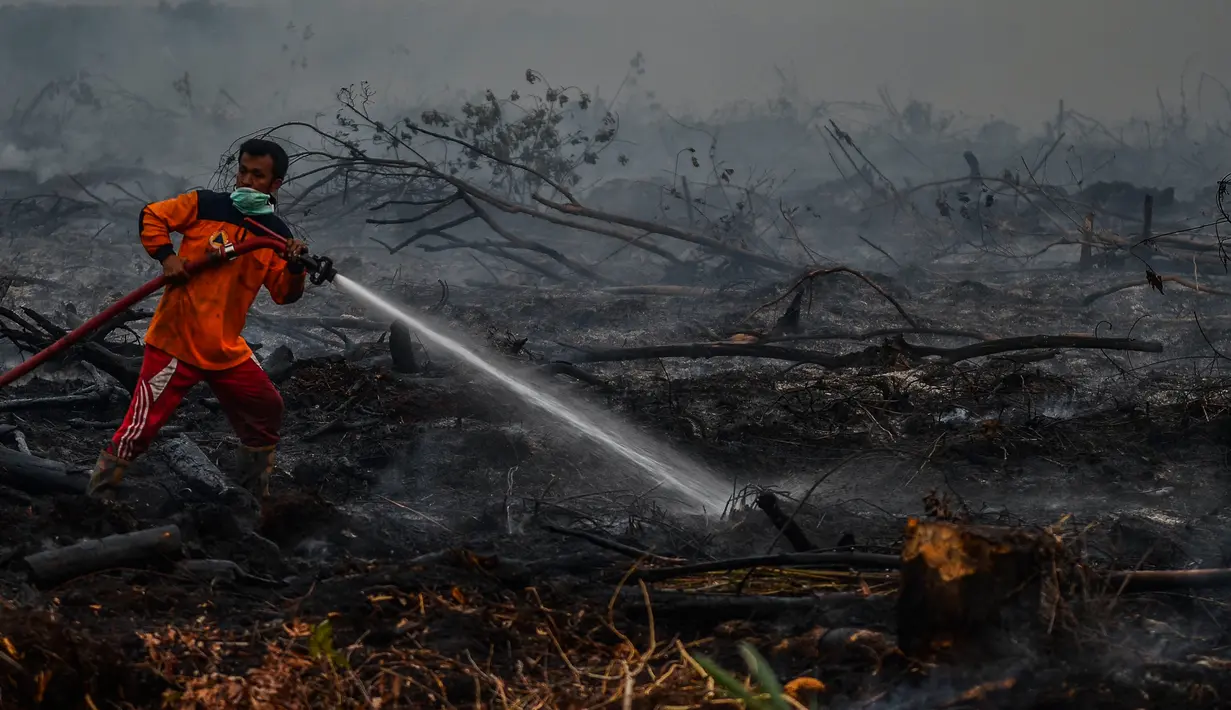 Petugas berusaha memadamkan kebakaran lahan gambut di Kecamatan Siak Hulu, Kabupaten Kampar, Riau, Senin (9/9/2019). Sulitnya sumber air di lokasi kebakaran menjadi kendala petugas untuk memadamkan bara api yang menghanguskan sedikitya lima hektare lahan gambut di kawasan tersebut. (Wahyudi / AFP)