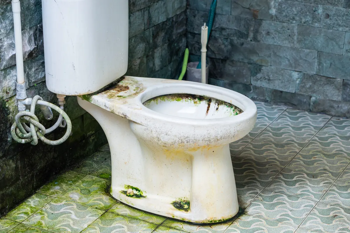 7 Tips Membersihkan Kamar Mandi Berlumut yang Praktis dan Terjangkau