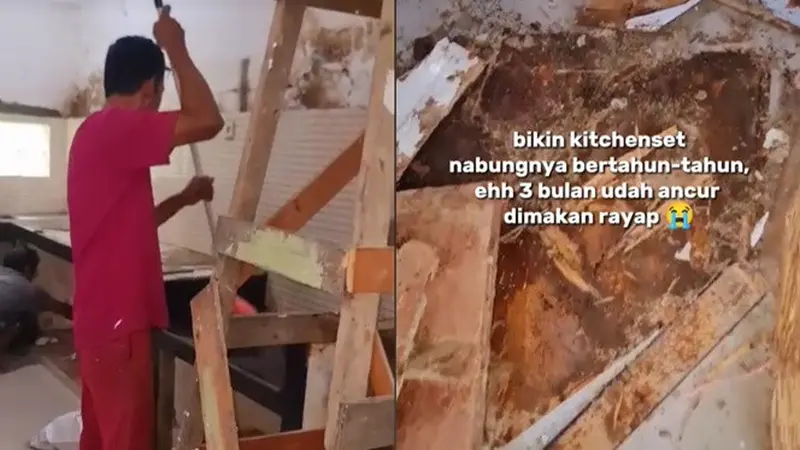 Kisah Pilu Bikin Kitchen Set Impian Hasil Nabung, 3 Bulan Hancur Dimakan Rayap