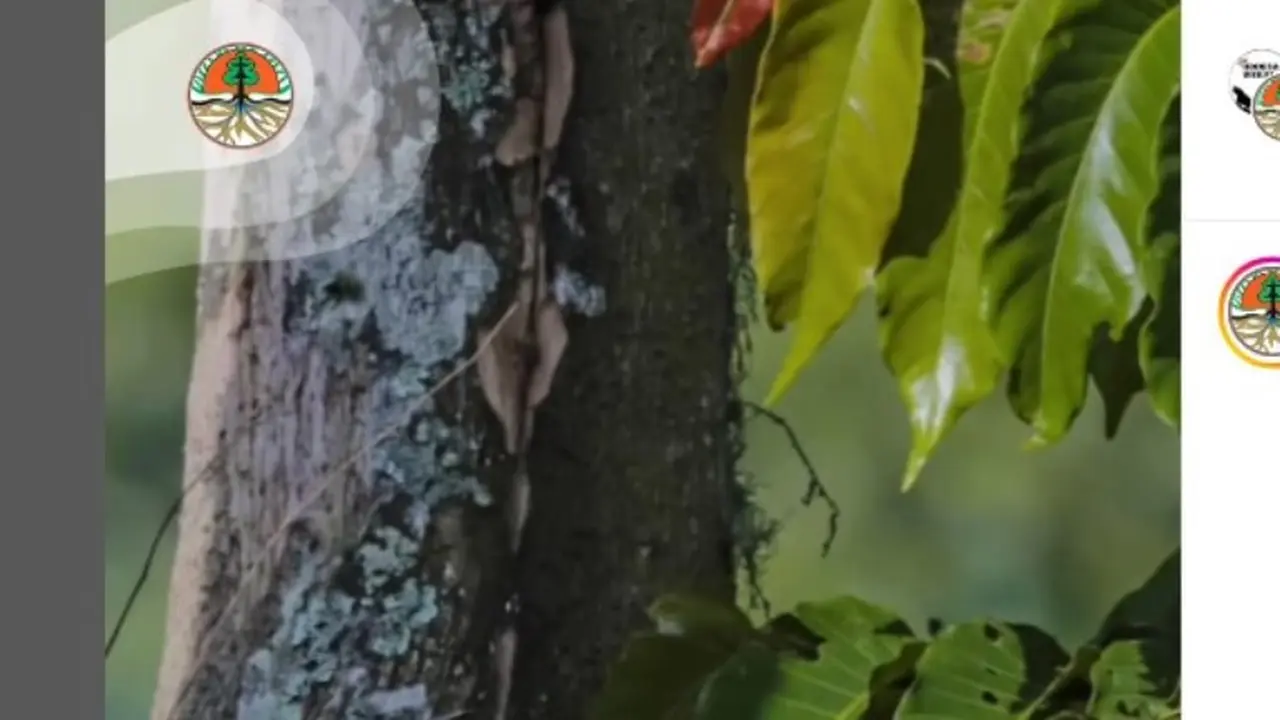 Hewan Langka yang Jadi Inspirasi Lambang Burung Garuda, Elang Jawa Melahirkan di Guuung Halimun Salak