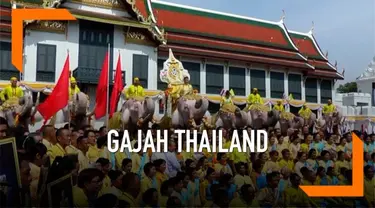 Belasan gajah dan ratusan warga berbaju kuning memberikan penghormantan kepada Raja Thailand yang baru, Raja Rama X.