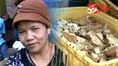 liputan6