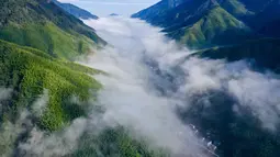 Foto dari udara menunjukkan pemandangan hamparan awan di Taman Nasional Wuyishan, Provinsi Fujian, China tenggara (1/12/2020). Taman Nasional Wuyishan memiliki vegetasi hutan primer seluas 210,7 kilometer persegi dilestarikan di taman nasional tersebut. (Xinhua/Jiang Kehong)