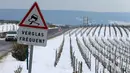 Sebuah mobil melintas di samping kebun anggur yang tertutup salju pada hari pertama musim semi di wilayah Champagne di Mailly-Champagne, dekat Reims, (19/3). (AFP Photo/Francois Nascimbeni)