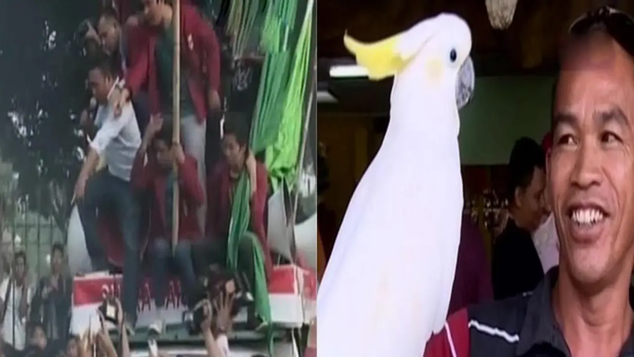 Mahasiswa Demo di Istana Negara Hingga Wisata ke Taman Burung