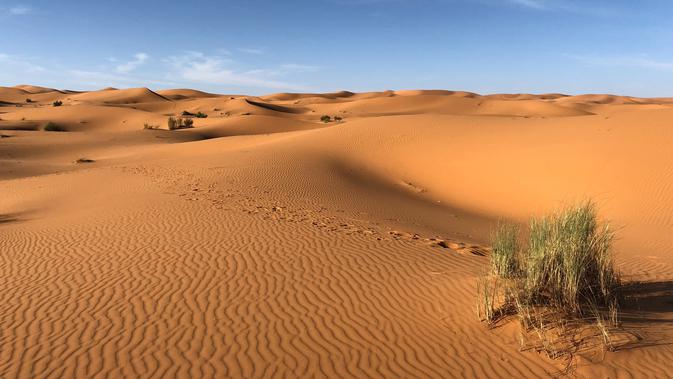 Salju turun dan menyelimuti Gurun Sahara. Apa penyebabnya?  | foto ilustrasi: pexels.com/@greg-gulik-349419