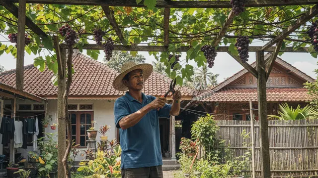Pemangkasan Anggur