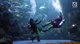 Atraksi pertarungan dalam air bertajuk The Battle of Yin Yang di Aquarium Utama Seaworld Ancol, Jakarta, Senin (12/2). Atraksi akan berlangsung setiap pukul 13.45 WIB. (Liputan6.com/Arya Manggala)