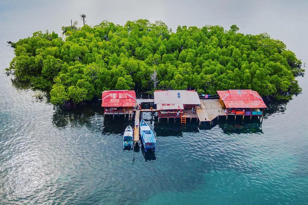 [Bintang] Sulawesi