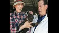 Kisah Kembalinya Kucing yang Hilang 3 Tahun Usai Tsunami Jepang