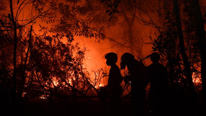 Petugas pemadam kebakaran memadamkan api saat kebakaran hutan dan lahan (karhutla) di Pekanbaru, Riau, Jumat (13/9/2019). Karhutla yang mengakibatkan kabut asap menyebabkan jarak pandang sampai titik terendahnya pada tahun ini, yakni hanya 300 meter saja. (ADEK BERRY/AFP)