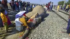 Penduduk desa memberikan penghormatan kepada salah satu dari dua gajah yang mati setelah bertabrakan dengan kereta di Morigaon, Assam, India, Rabu (1/12/2021). Dua gajah mati setelah ditabrak kereta Rajdhani Express. (Biju BORO/AFP)