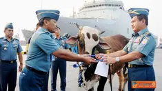 Citizen6, Jakarta: Pangkolinlamil Laksamana Muda TNI S.M. Darojatim menyerahkan sapi  kepada Ketua Panitia Idhul Adha Kolinlamil Letkol Laut (KH) Drs. Uus Kusnendi, di Mako Kolinlamil,Tanjung Priok, Jakarta, Rabu (24/3). (Pengirim: Dispenkolinlamil). 