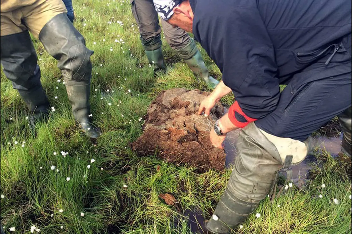 Ilmuwan yakin, gelembung yang muncul di permafrost adalah dampak perubahan iklim