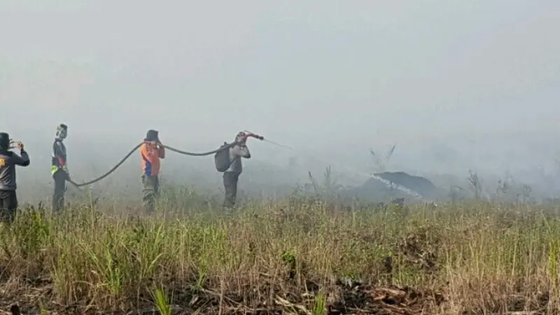 kebakaran hutan riau