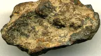 Meteorit yang berasal dari Odessa, Texas, Amerika Serikat, adalah fragmen yang pecah dari meteor. (James St. John/AFP)