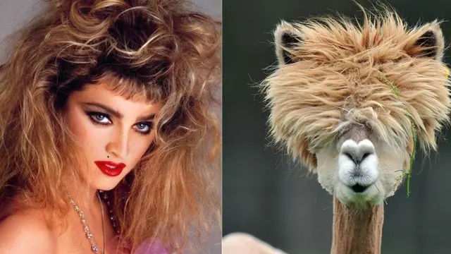 Benarkah 5 Artis Ini Berwajah Mirip Hewan?