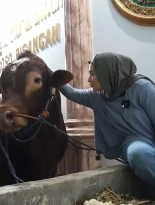 <p>Sebelum di sembelih, sapi tersebut juga tampak manja. Dengan mengendus-endus, setelah di elus-elus tampak tenang. Sapi warna coklat tersebut beratnya lebih 1 ton. Nathalie tanpak mengajak sapi kurbannya. [Instagram/nathalieholscher]</p>