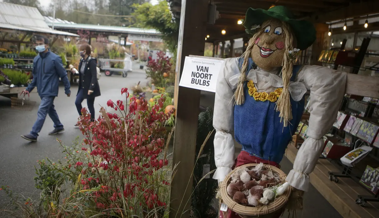 Sebuah orang-orangan sawah ditampilkan dalam Festival Orang-orangan Sawah tahunan jelang perayaan Halloween di Langley, British Columbia, Kanada (19/10/2020). (Xinhua/Liang Sen)