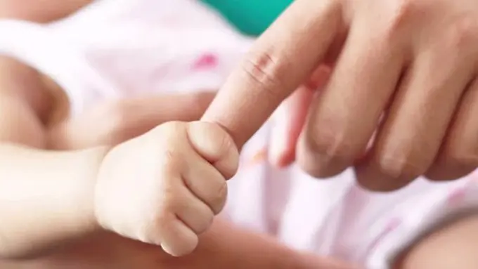 Ilustrasi Copyright by shutterstock.com