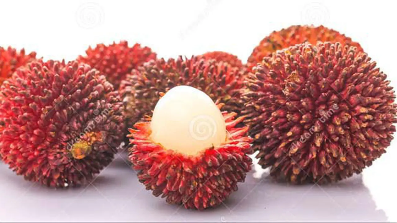 (C) dreamstime.com