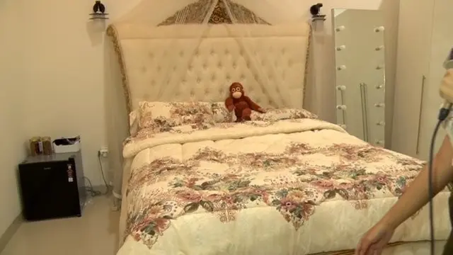 Kamar Lucinta Luna