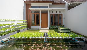 Sistem Aquaponik Ikan Nila dan Selada yang Cocok untuk Pemula di Rumah Minimalis (Image by Gemini AI)