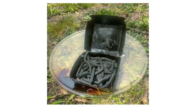 7 Momen Apes saat Memakai Microwave Ini Bikin Geleng Kepala